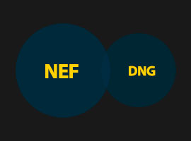 Konvertera NEF till DNG f